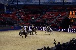 Quadrille - 00752